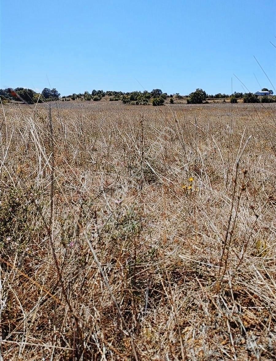 Sit Alanı Yakın Zamanda İmara Açılacak. - Görsel 5