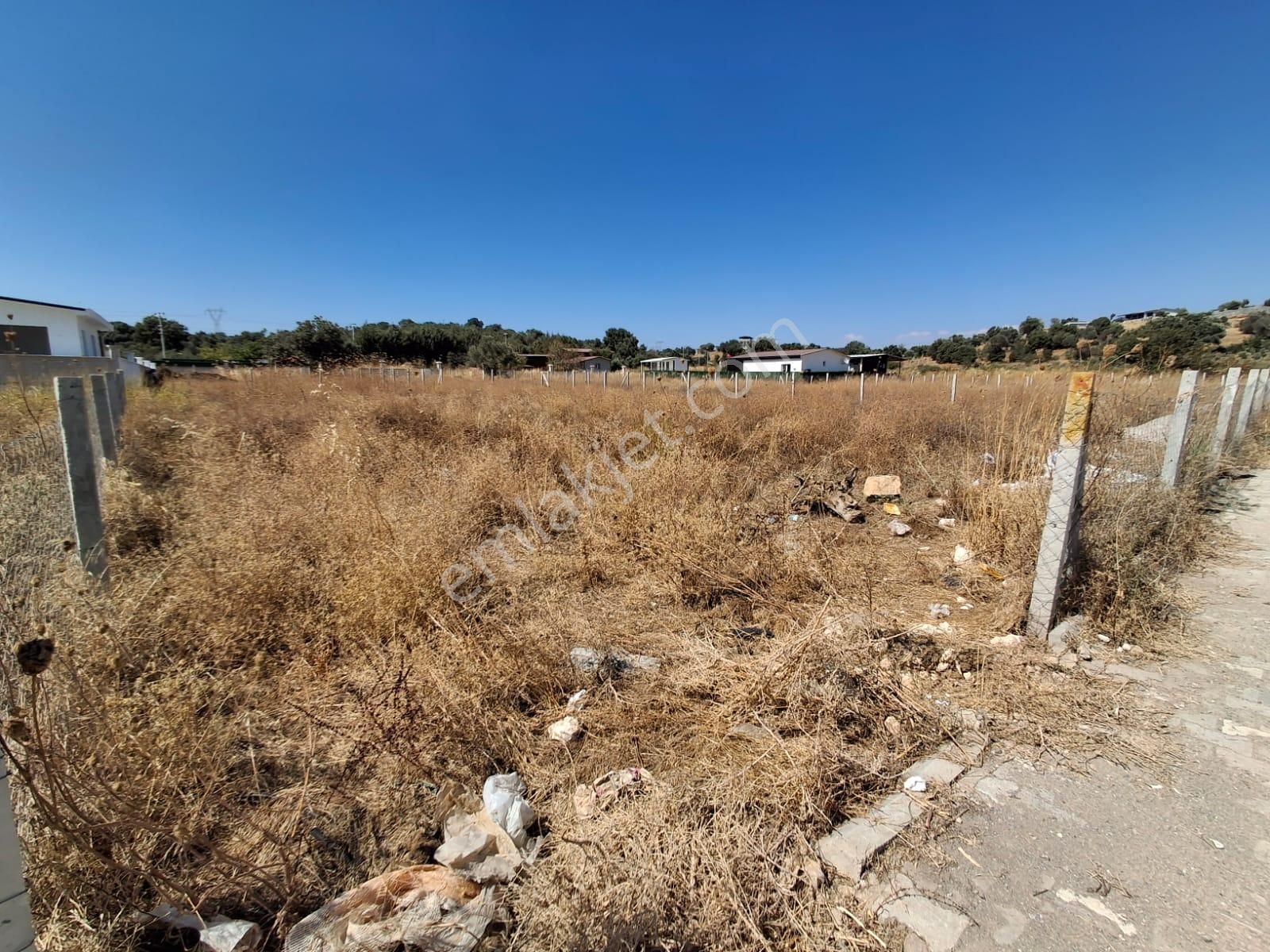 Bal Gayrimenkul- Akçaköyde Hisse Tapulu Ana Yola Yakın 500 M2 Bahçe - Görsel 25