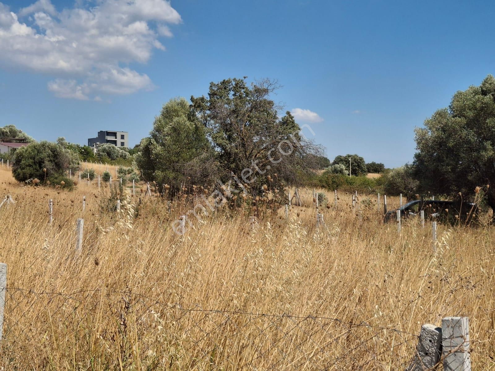 Bal Gayrimenkul- Akçaköyde Hisse Tapulu Ana Yola Yakın 500 M2 Bahçe - Görsel 5