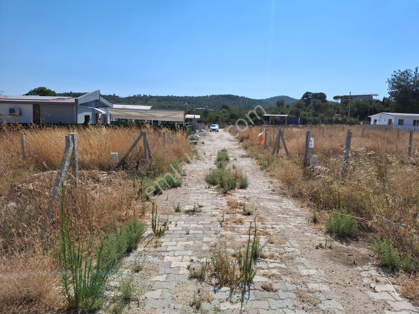 Bal Gayrimenkul- Akçaköyde Hisse Tapulu Ana Yola Yakın 500 M2 Bahçe - Görsel 11