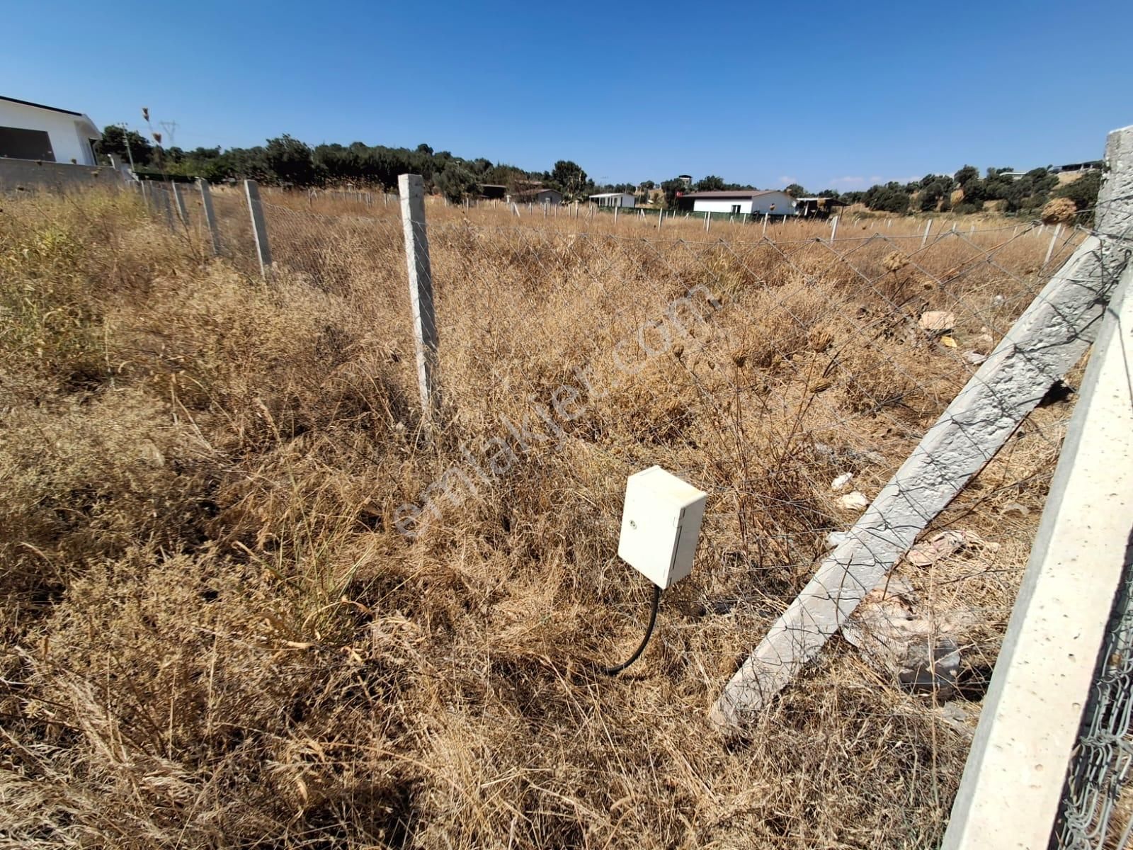 Bal Gayrimenkul- Akçaköyde Hisse Tapulu Ana Yola Yakın 500 M2 Bahçe - Görsel 26