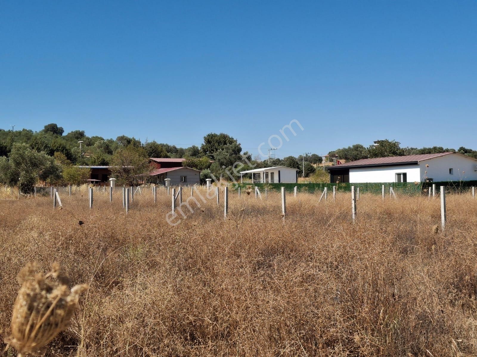 Bal Gayrimenkul- Akçaköyde Hisse Tapulu Ana Yola Yakın 500 M2 Bahçe