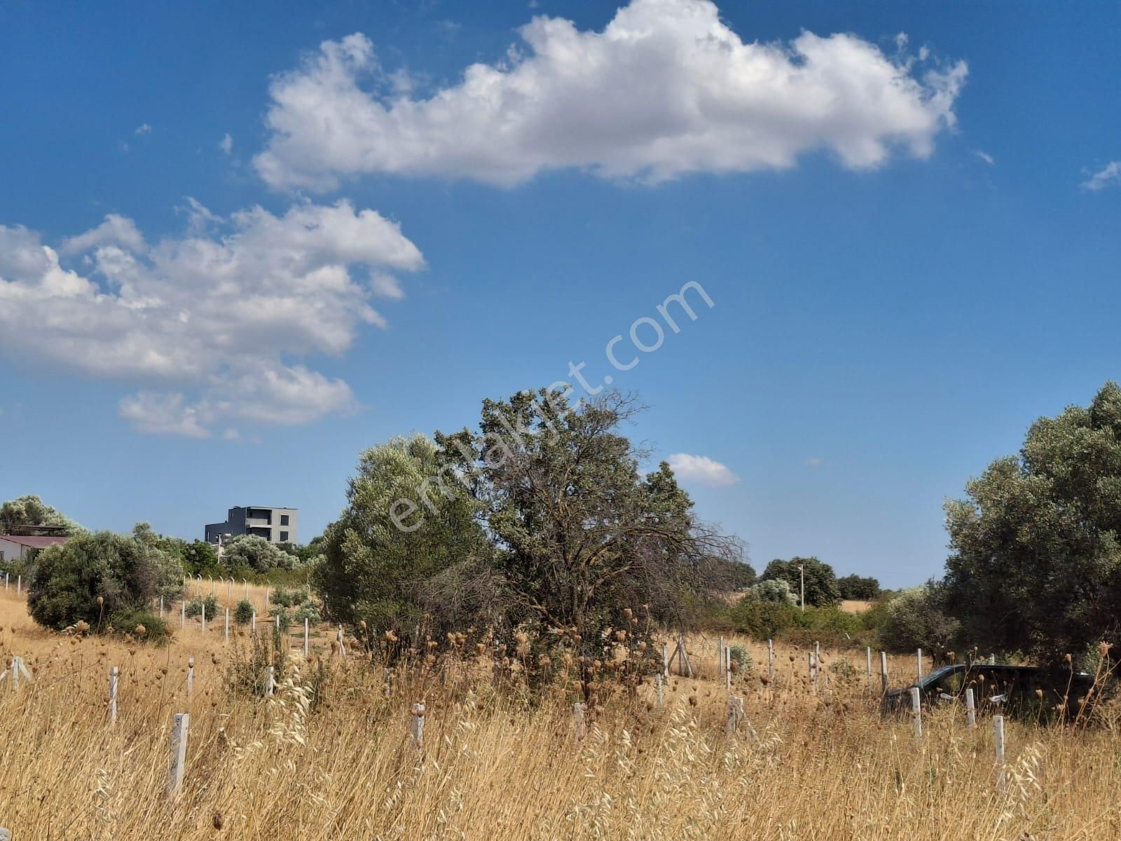 Bal Gayrimenkul- Akçaköyde Hisse Tapulu Ana Yola Yakın 500 M2 Bahçe - Görsel 2