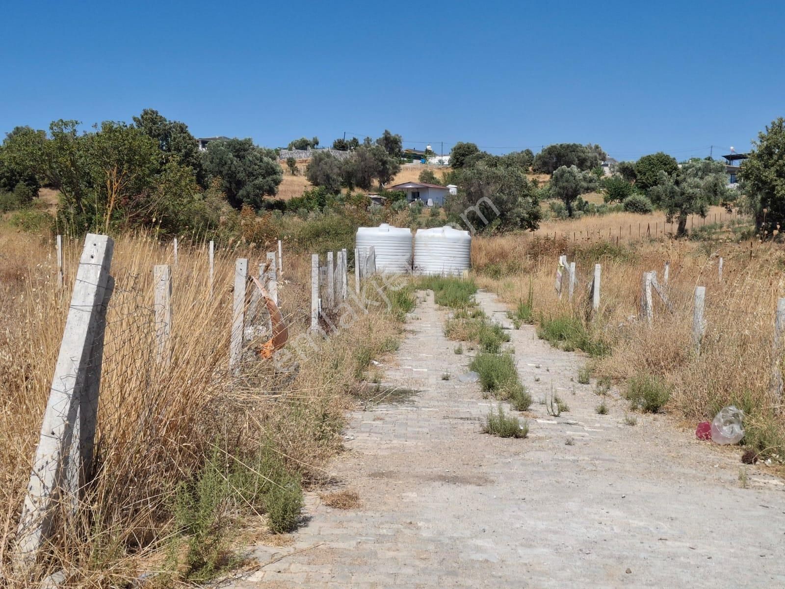 Bal Gayrimenkul- Akçaköyde Hisse Tapulu Ana Yola Yakın 500 M2 Bahçe - Görsel 20