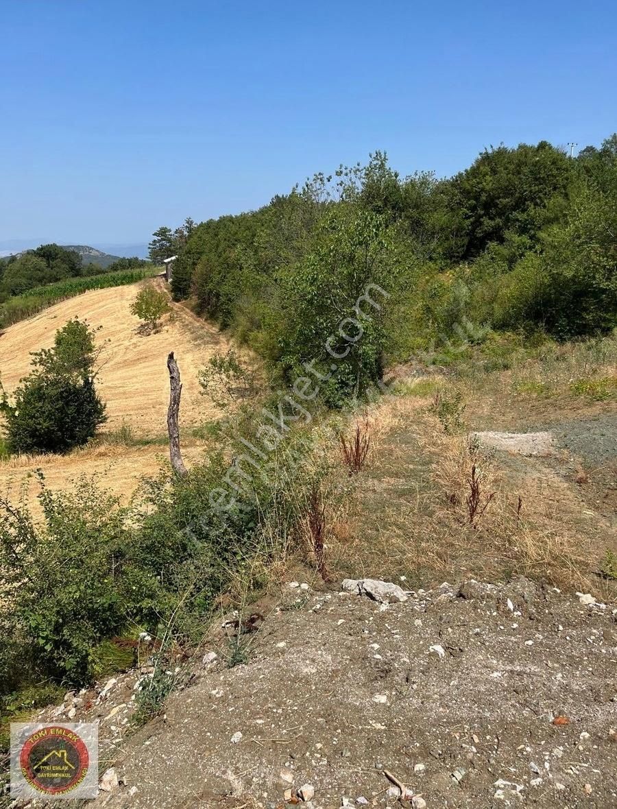 New Evimden Kestel Alaçamda 1600m2 Satılık Fırsat Tarla
