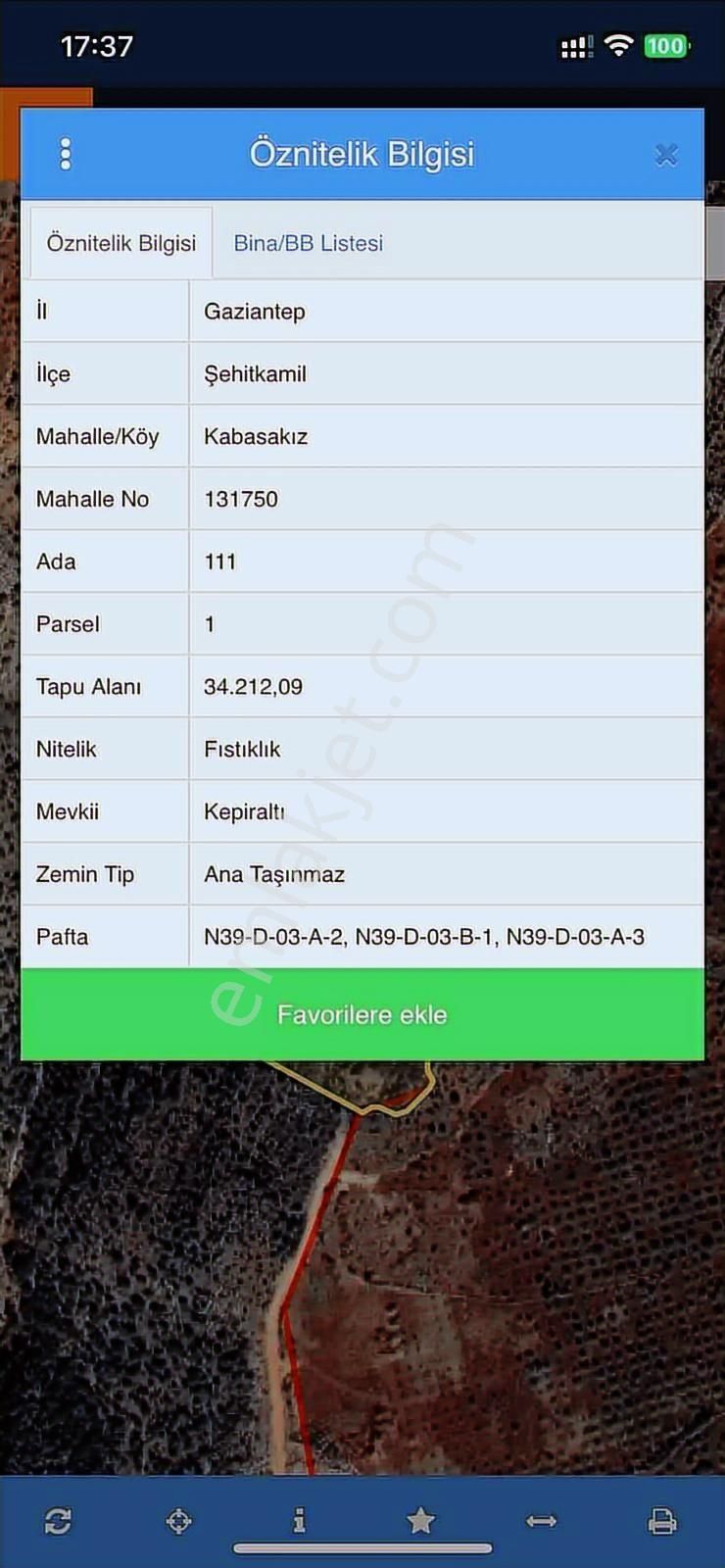 Fırsat Kabasakız Da Satılık 34212 Metre Niteliği Fıstıklık Arazi