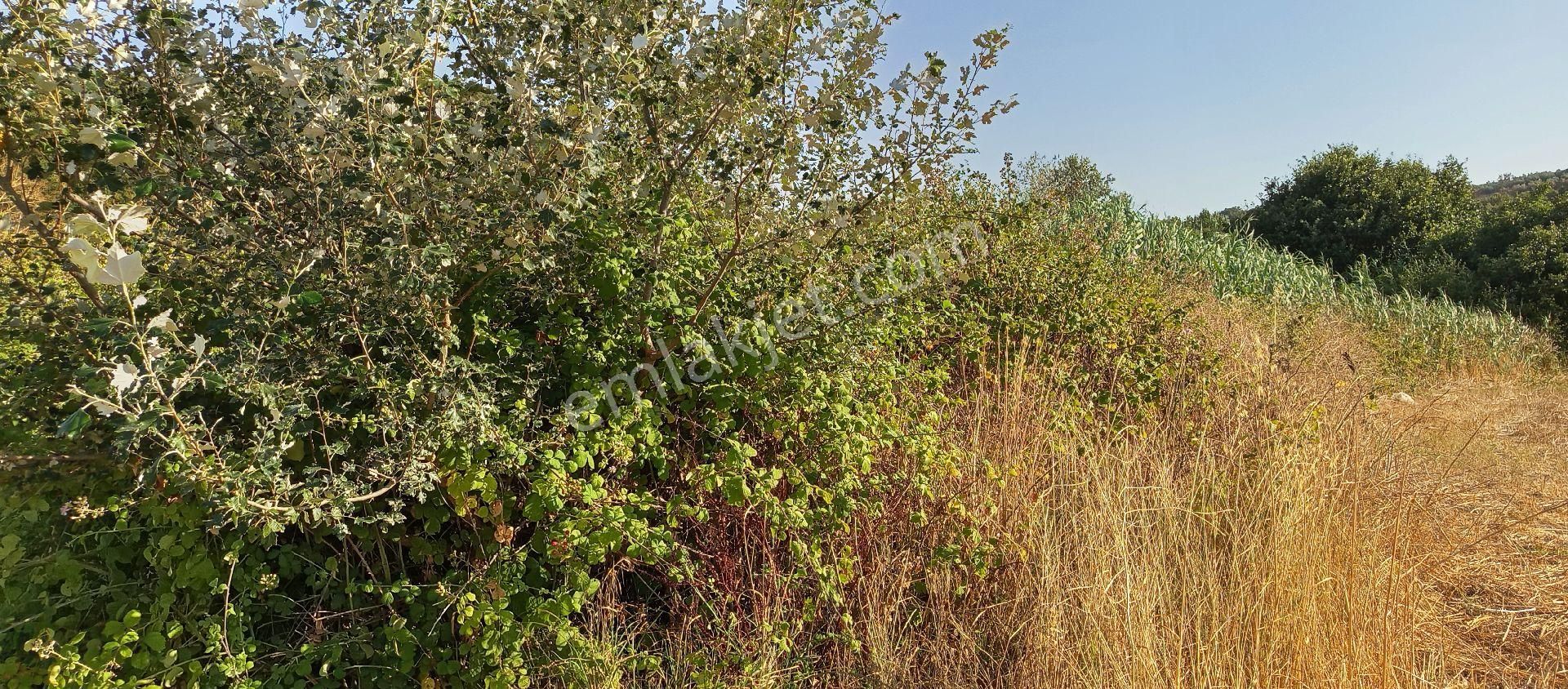 Bursa Nilüfer Çaylı Mahallesi Satılık 900 Mt2 Tarla - Görsel 4