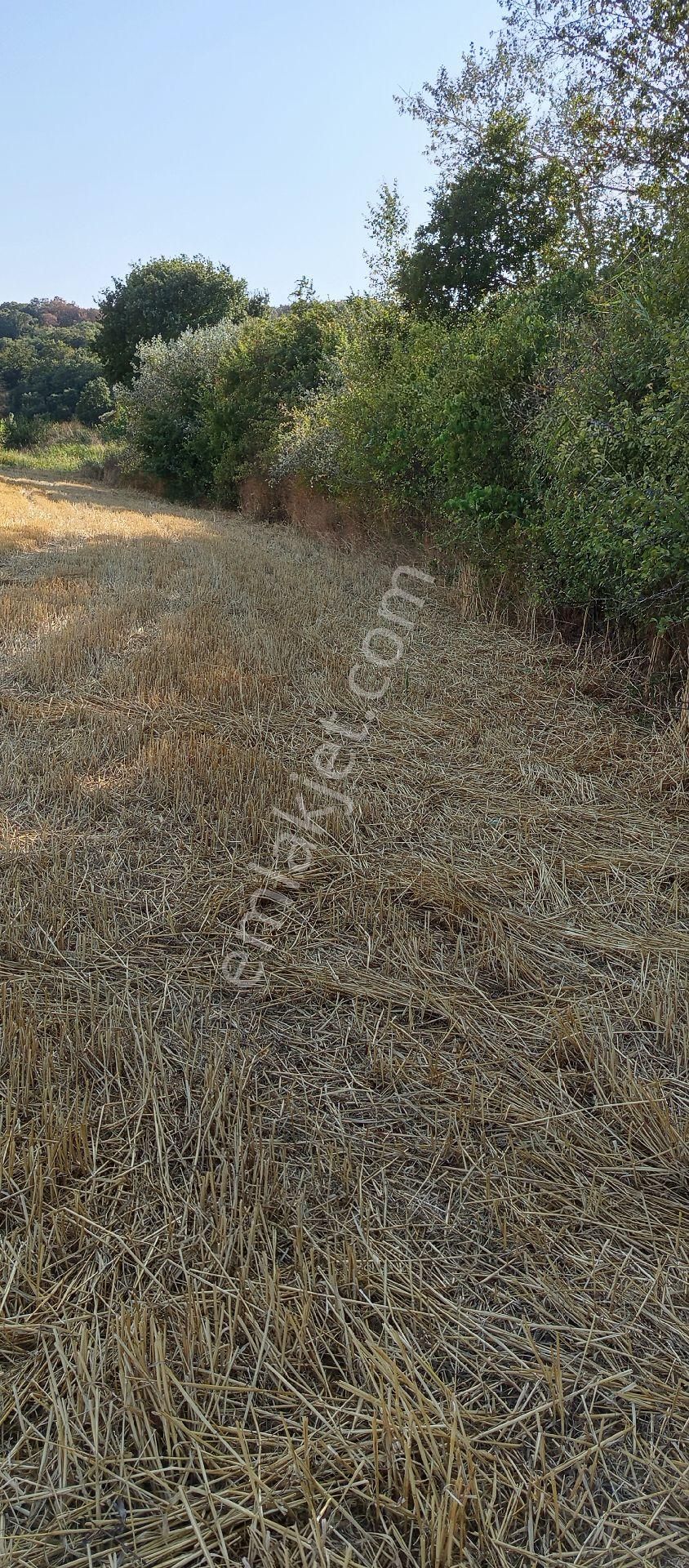 Bursa Nilüfer Çaylı Mahallesi Satılık 900 Mt2 Tarla - Görsel 32