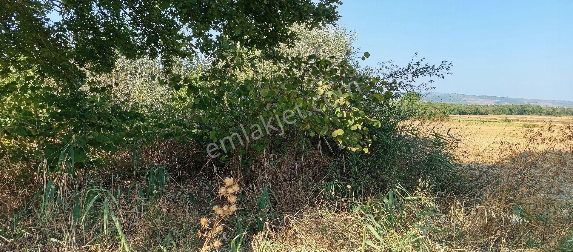 Bursa Nilüfer Çaylı Mahallesi Satılık 900 Mt2 Tarla - Görsel 13