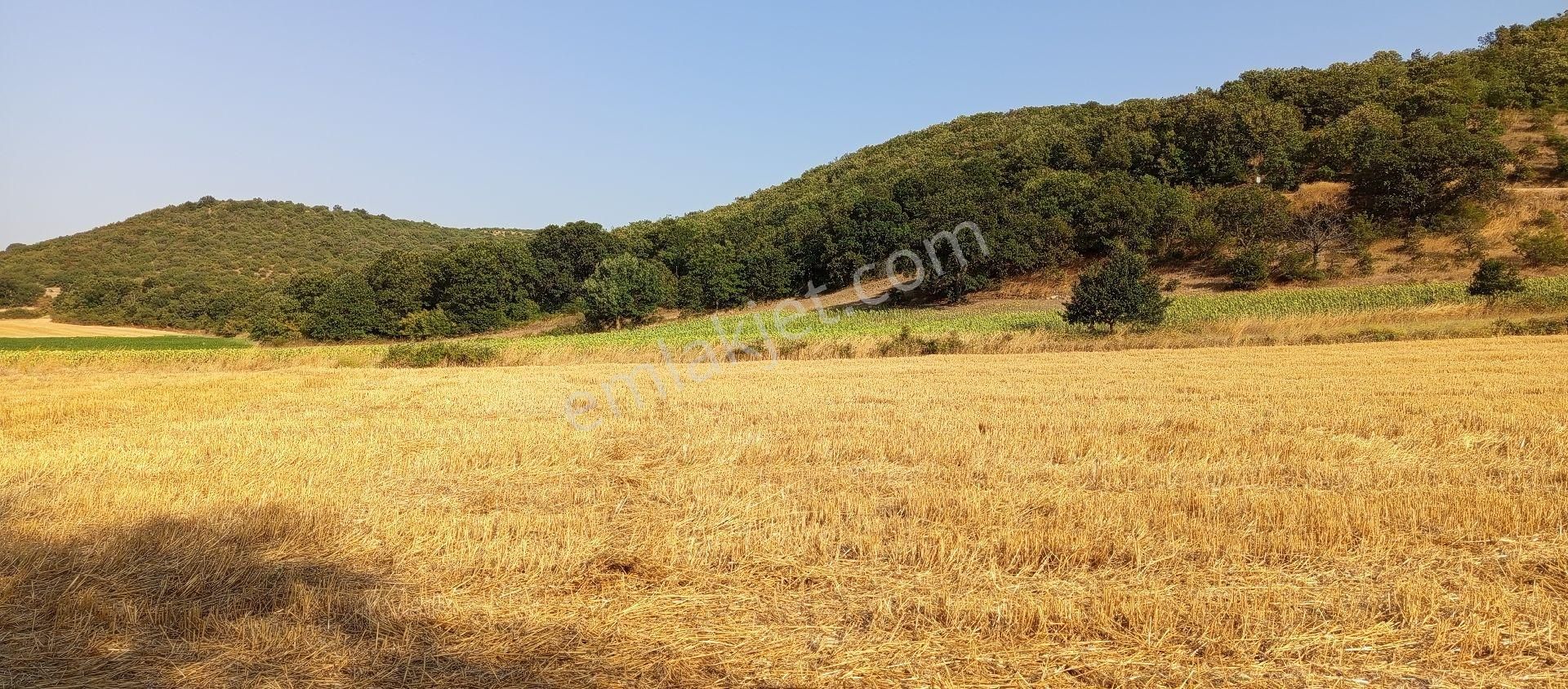 Bursa Nilüfer Çaylı Mahallesi Satılık 900 Mt2 Tarla - Görsel 30