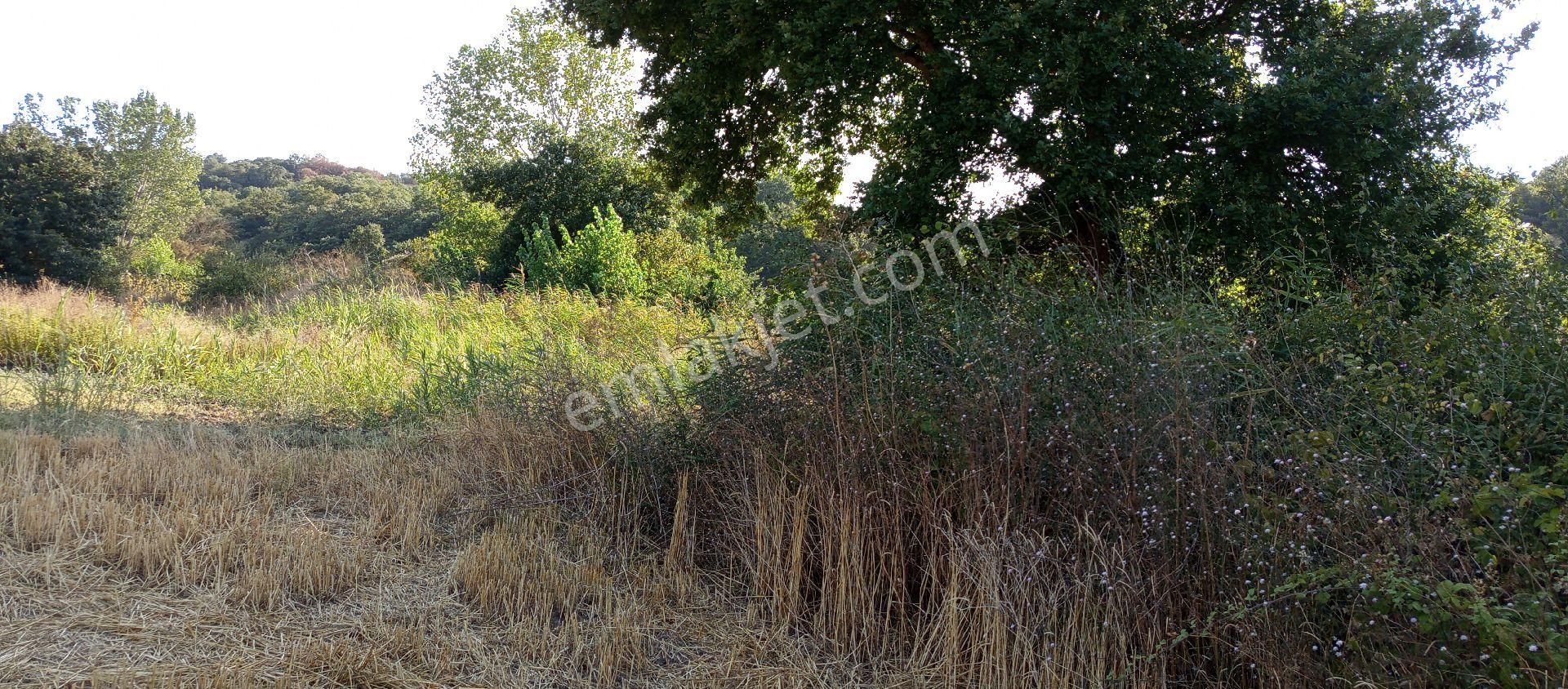 Bursa Nilüfer Çaylı Mahallesi Satılık 900 Mt2 Tarla - Görsel 19