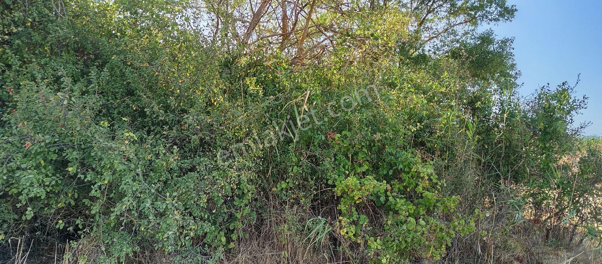 Bursa Nilüfer Çaylı Mahallesi Satılık 900 Mt2 Tarla - Görsel 20