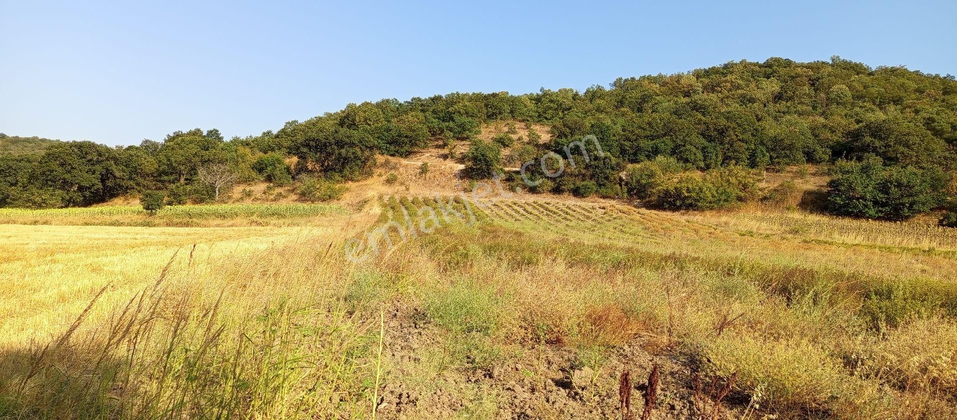 Bursa Nilüfer Çaylı Mahallesi Satılık 900 Mt2 Tarla - Görsel 9