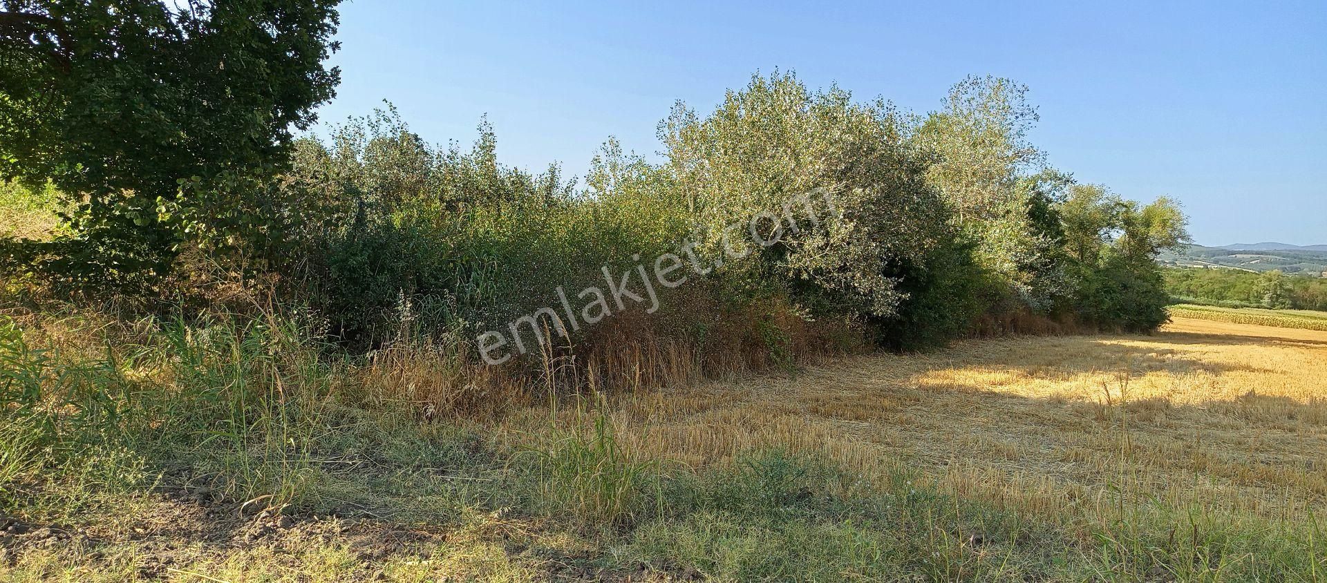 Bursa Nilüfer Çaylı Mahallesi Satılık 900 Mt2 Tarla - Görsel 11