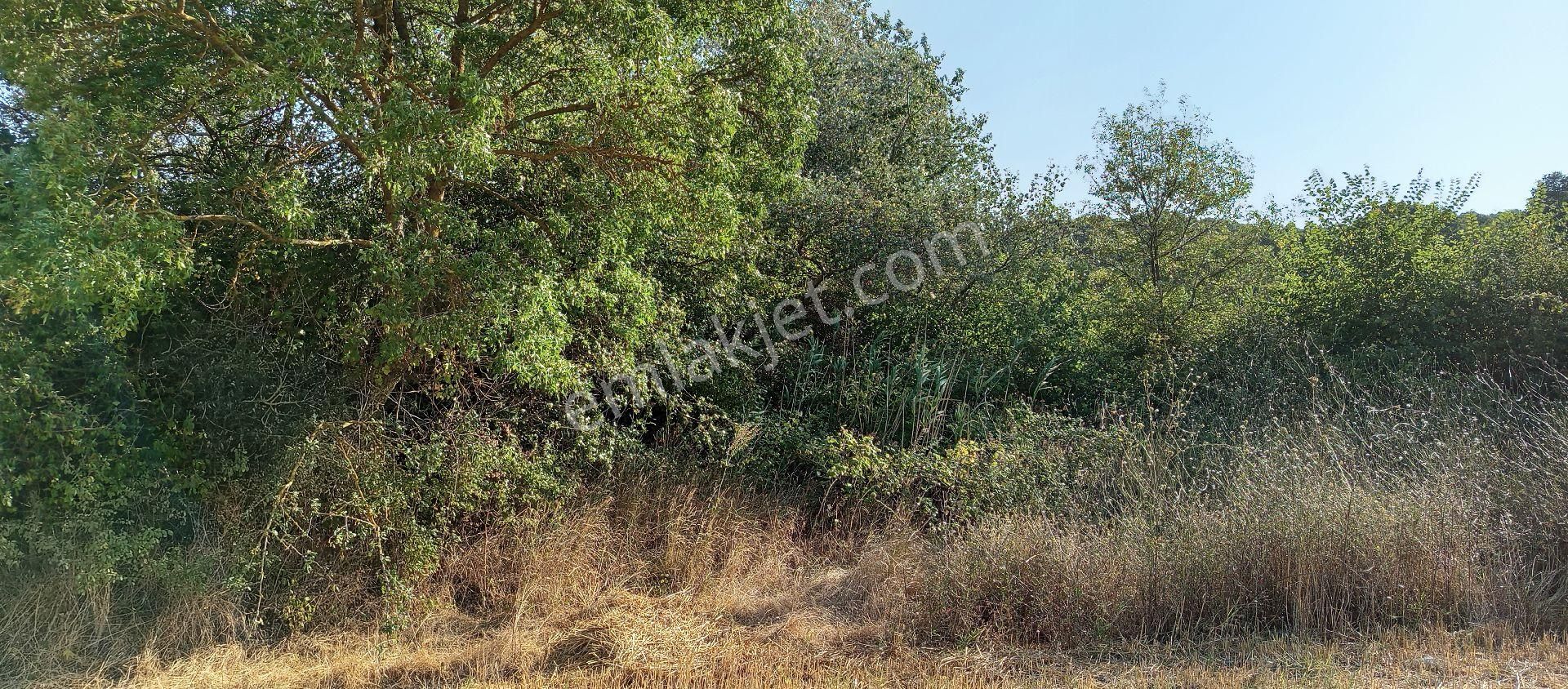 Bursa Nilüfer Çaylı Mahallesi Satılık 900 Mt2 Tarla - Görsel 5