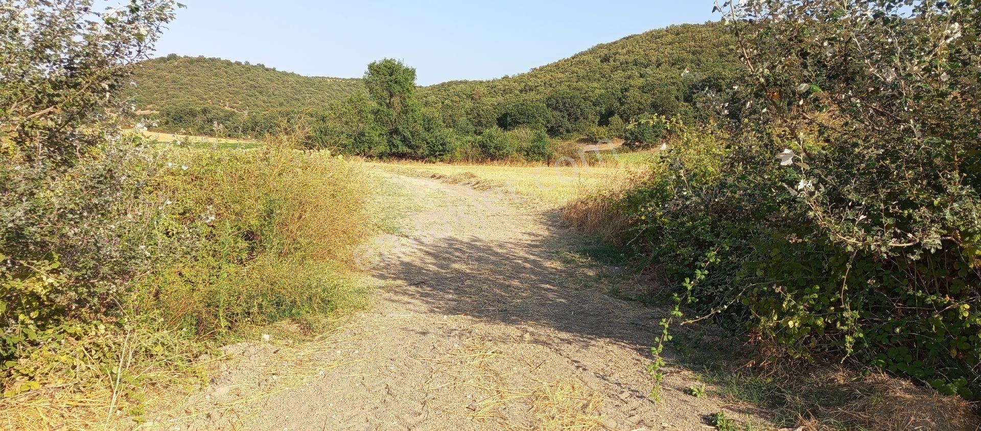 Bursa Nilüfer Çaylı Mahallesi Satılık 900 Mt2 Tarla - Görsel 2