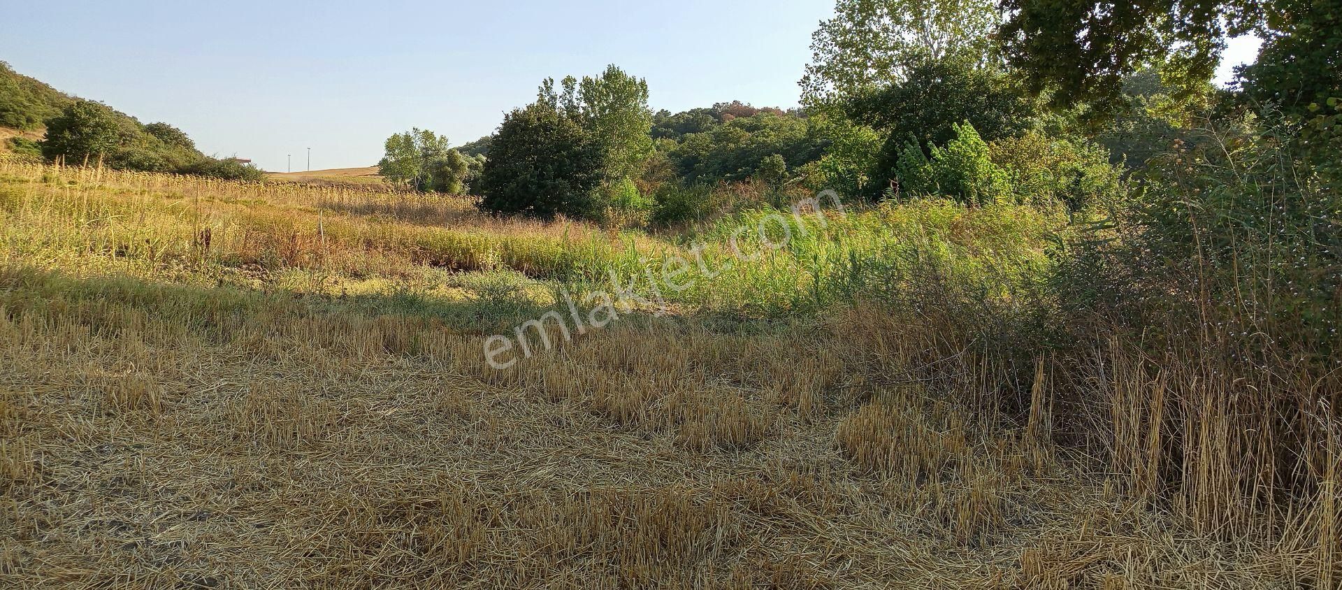 Bursa Nilüfer Çaylı Mahallesi Satılık 900 Mt2 Tarla - Görsel 17