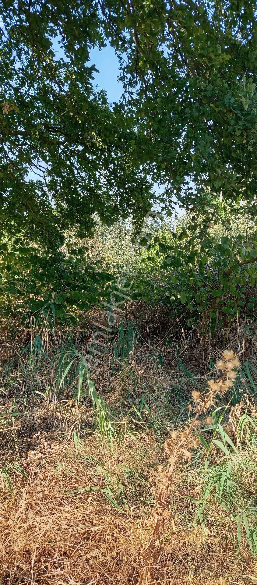 Bursa Nilüfer Çaylı Mahallesi Satılık 900 Mt2 Tarla - Görsel 16