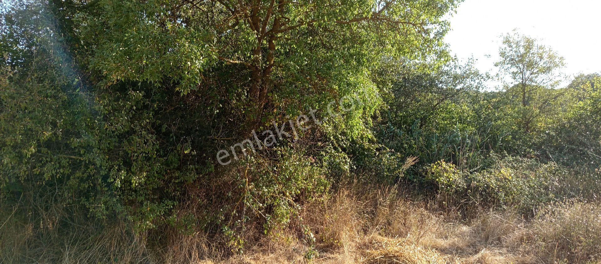 Bursa Nilüfer Çaylı Mahallesi Satılık 900 Mt2 Tarla - Görsel 7