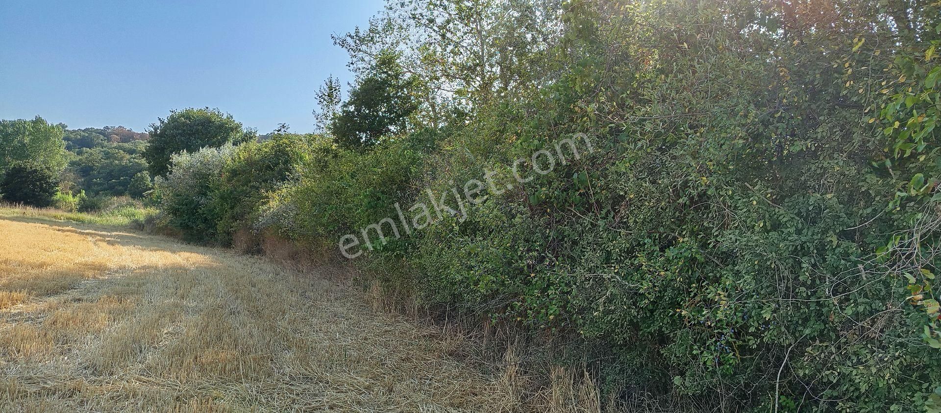 Bursa Nilüfer Çaylı Mahallesi Satılık 900 Mt2 Tarla - Görsel 29