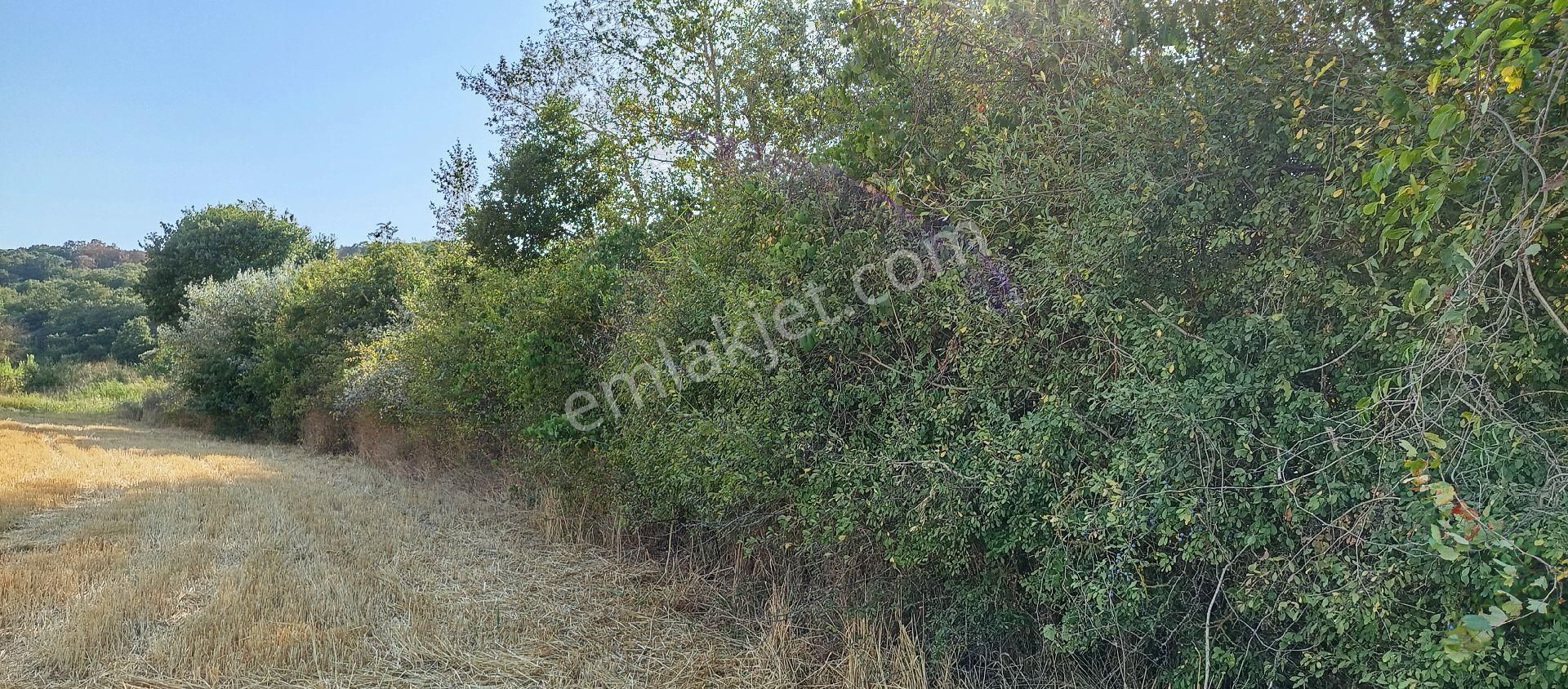 Bursa Nilüfer Çaylı Mahallesi Satılık 900 Mt2 Tarla - Görsel 31