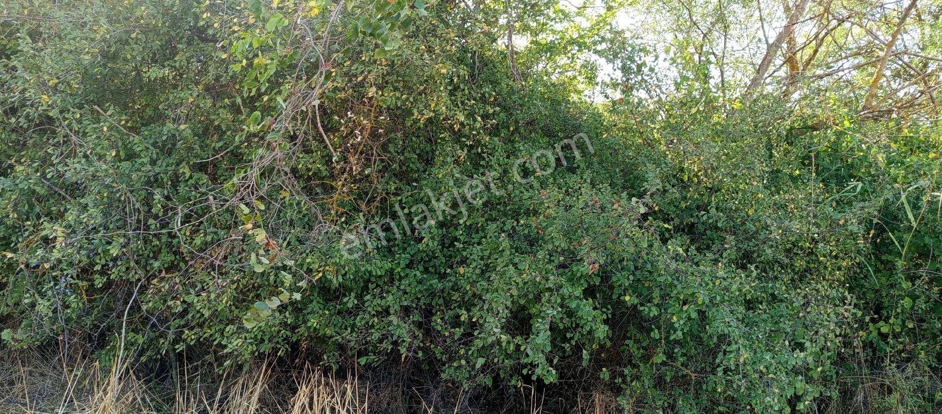 Bursa Nilüfer Çaylı Mahallesi Satılık 900 Mt2 Tarla - Görsel 28