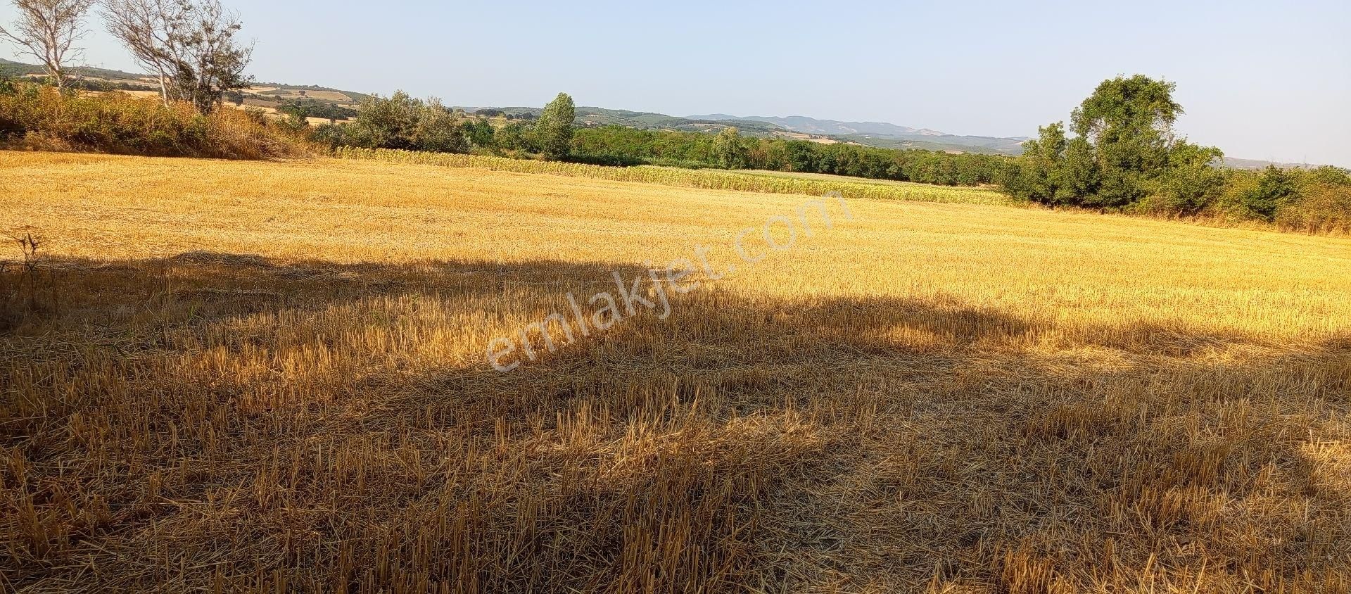 Bursa Nilüfer Çaylı Mahallesi Satılık 900 Mt2 Tarla - Görsel 24