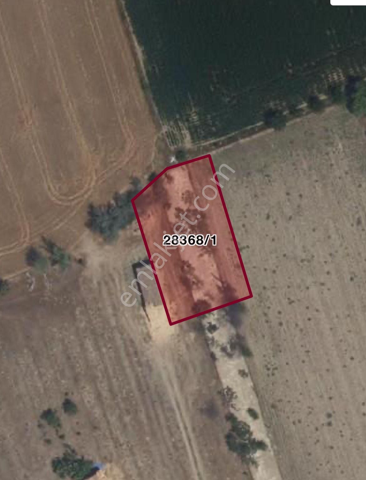 Yukarısöğütönünde Satılık Arsa