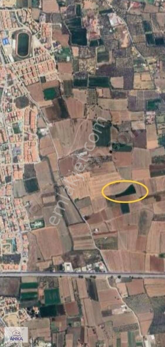 Milas Anka Emlak'dan Milas Hayıtlı Mah Satılık Tarla