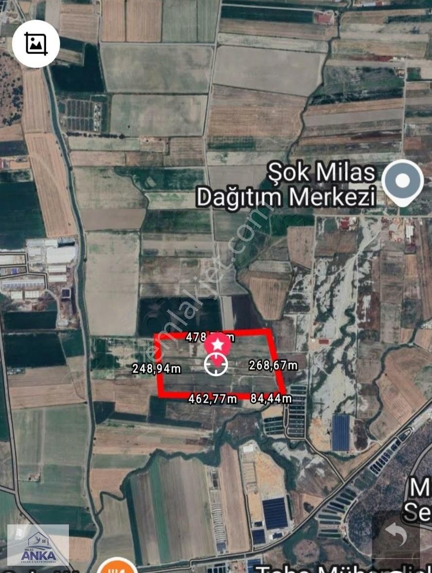 Milas Anka Emlak'dan Savran Mah 131 Dönüm Depo Yapımına Uygundur