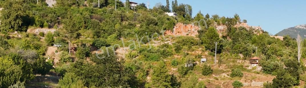 Bademağacı'nda Köy Yerleşim Alanında 4 Dönüm Arsa - Görsel 4