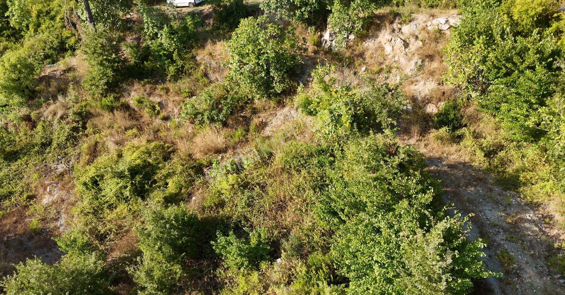 Bademağacı'nda Köy Yerleşim Alanında 4 Dönüm Arsa - Görsel 15