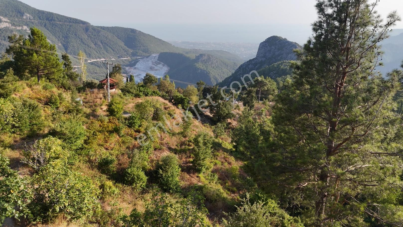 Bademağacı'nda Köy Yerleşim Alanında 4 Dönüm Arsa