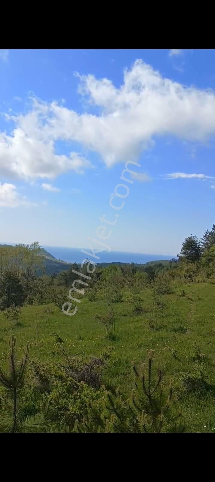 Kastamonu Cide İsa Köyünde Satılık 6.596 Metre Kare Tarla