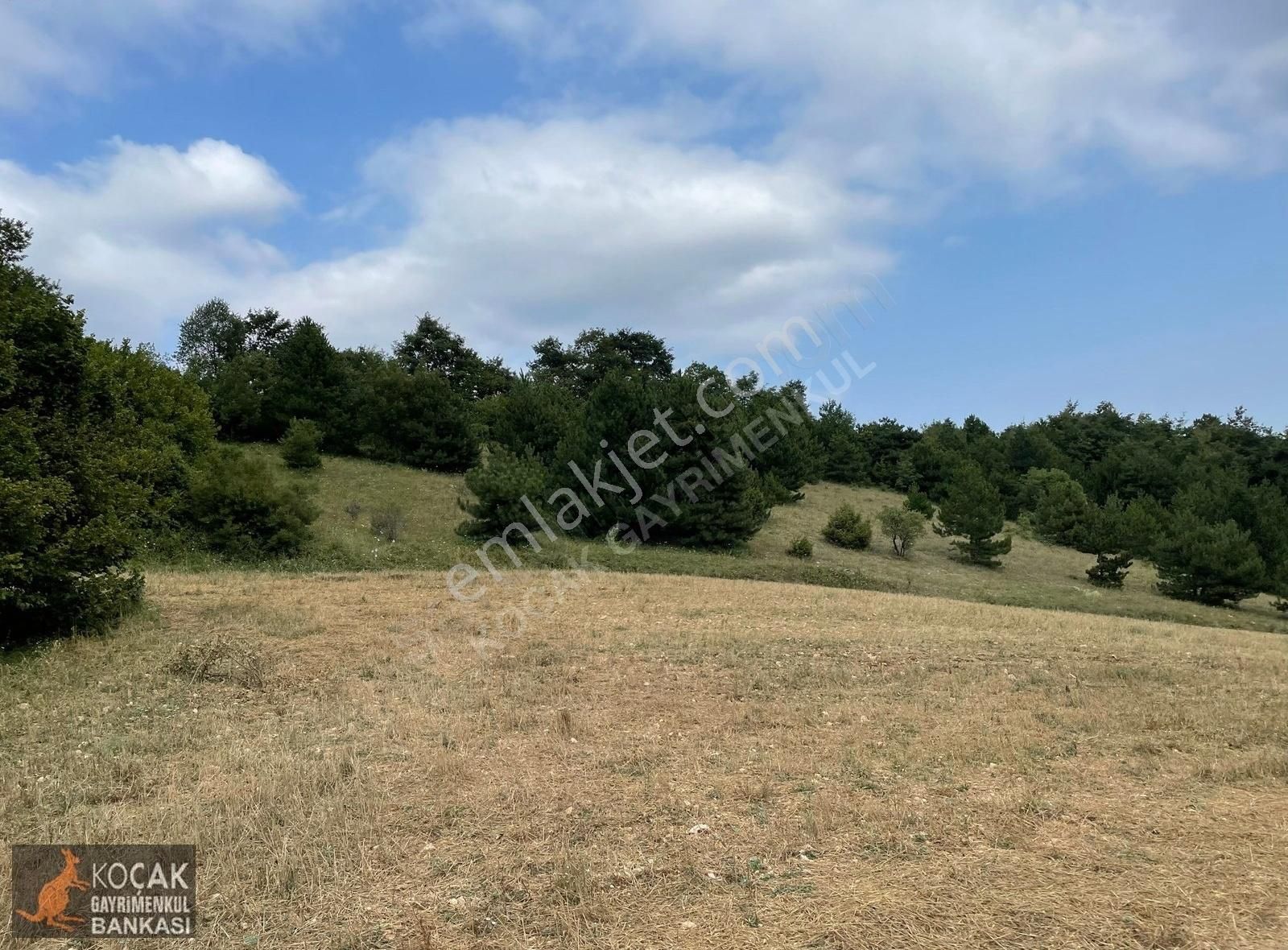 Kaynarca Alakayada 6000 M2 Meyveciliğe Uygun Satılık Arazi - Görsel 6