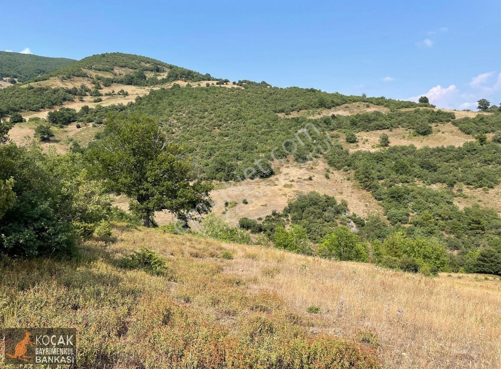 Kaynarca Alakayada 6000 M2 Meyveciliğe Uygun Satılık Arazi - Görsel 5