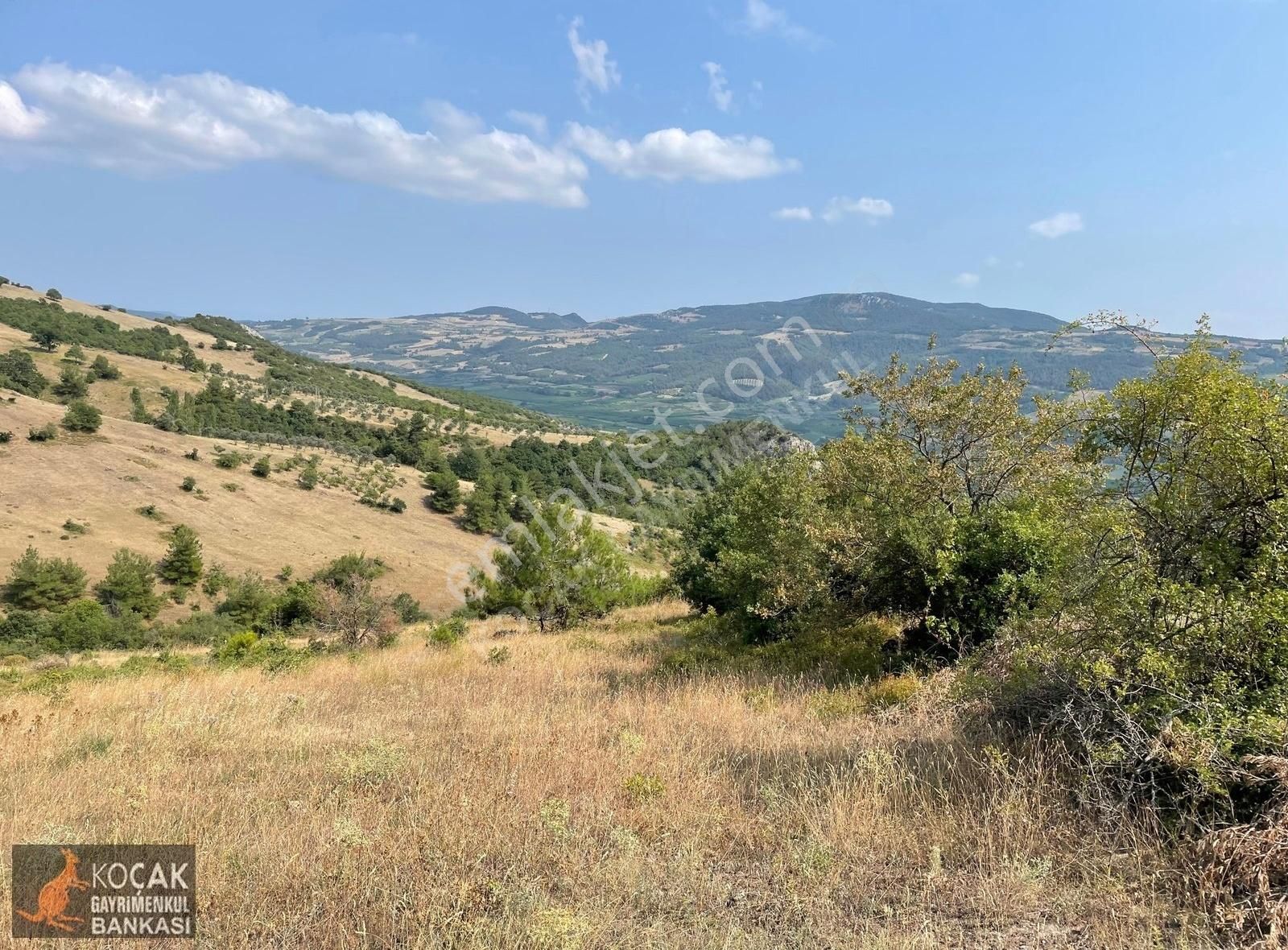 Kaynarca Alakayada 6000 M2 Meyveciliğe Uygun Satılık Arazi - Görsel 4