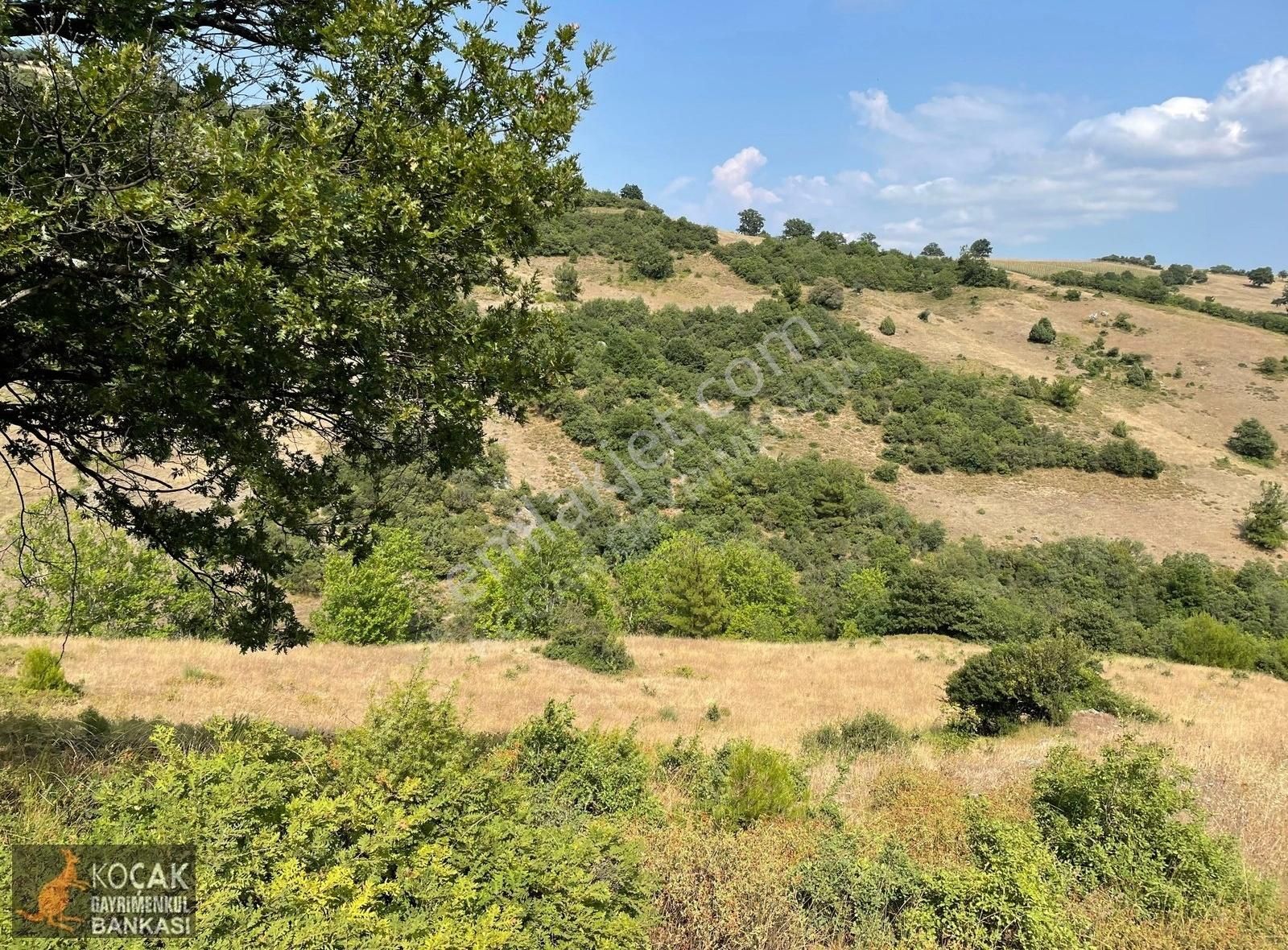 Kaynarca Alakayada 6000 M2 Meyveciliğe Uygun Satılık Arazi - Görsel 7
