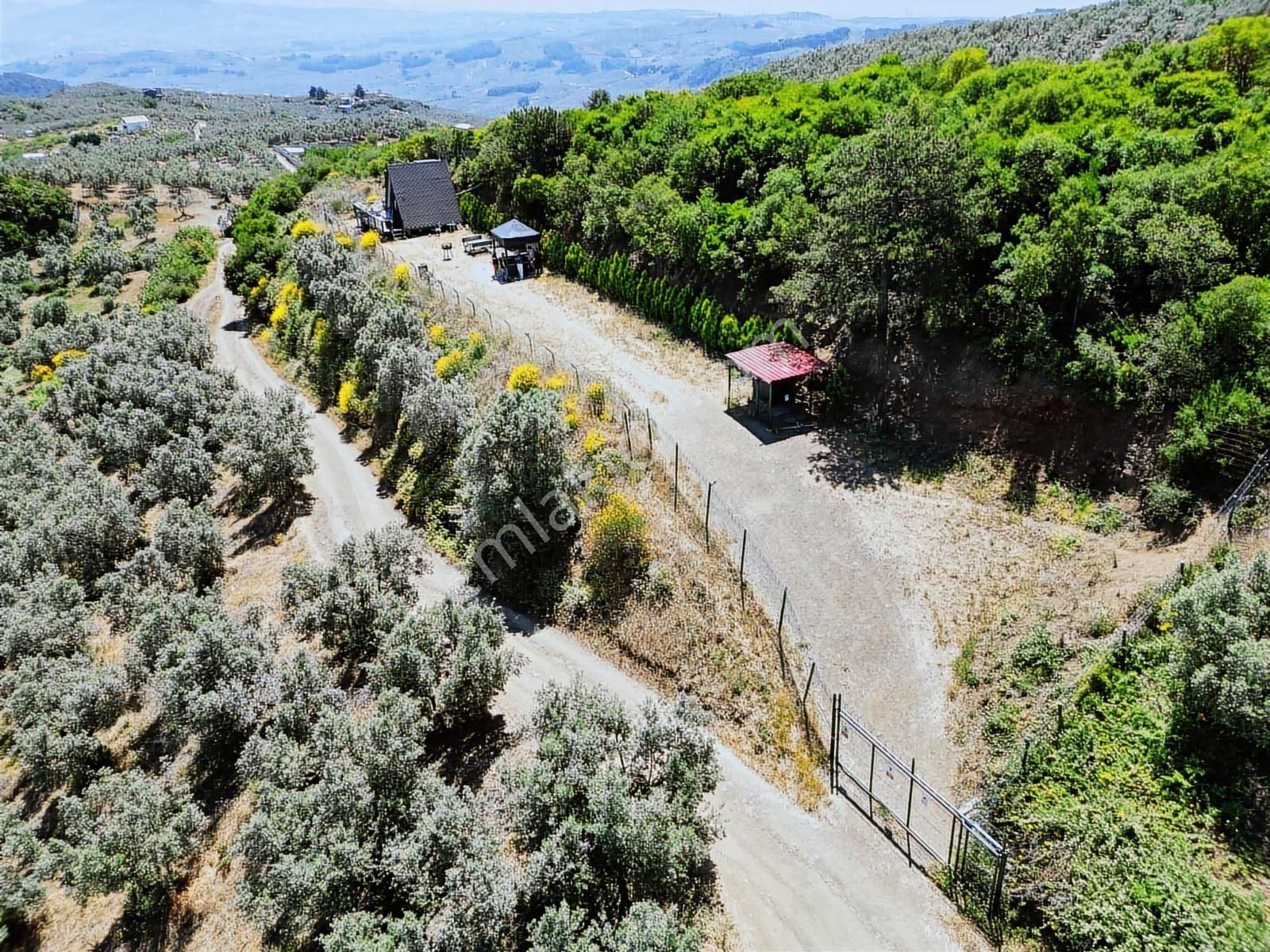Tırpan Gayrimenkul'den Çepni'de Hali Hazır'da Masrafsız Bungolov - Görsel 25