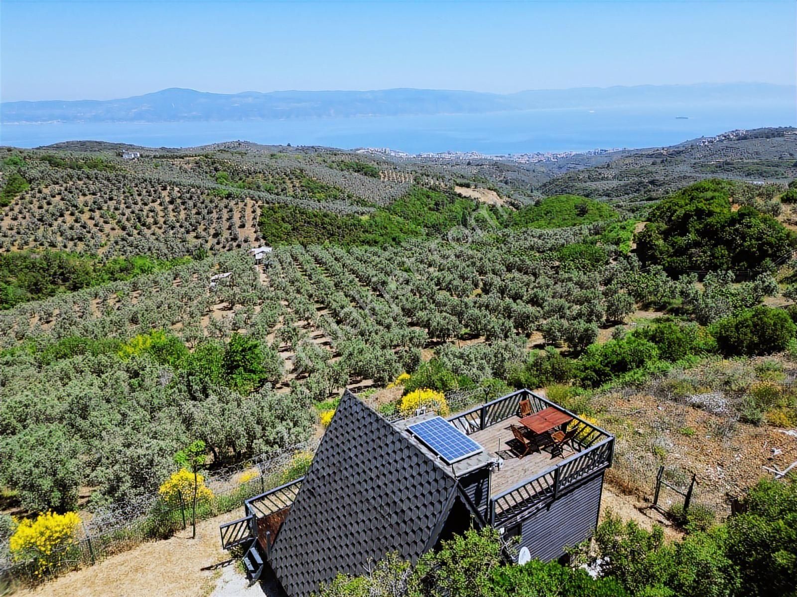 Tırpan Gayrimenkul'den Çepni'de Hali Hazır'da Masrafsız Bungolov - Görsel 16