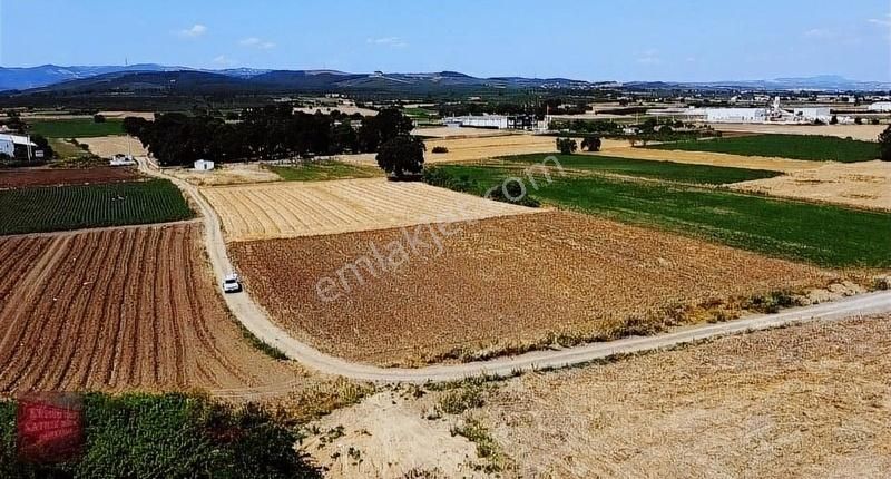 Mudanya Çekrice Resmi Yola Cephe 1/2 Satılık 2550 Metre Hisse