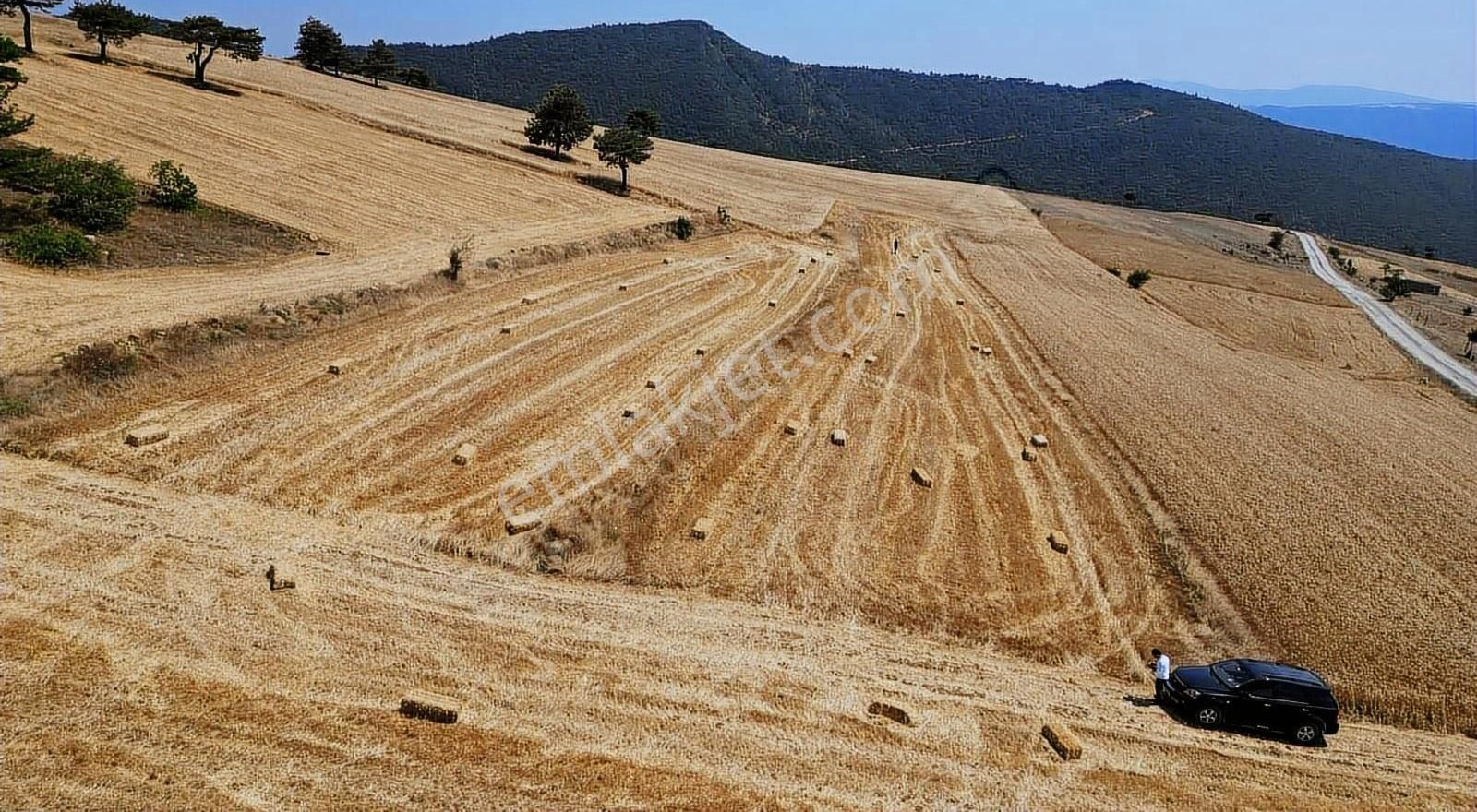Sakarya Geyve De Asfaltyola Yakın Doğa Harikası Arazi - Görsel 7