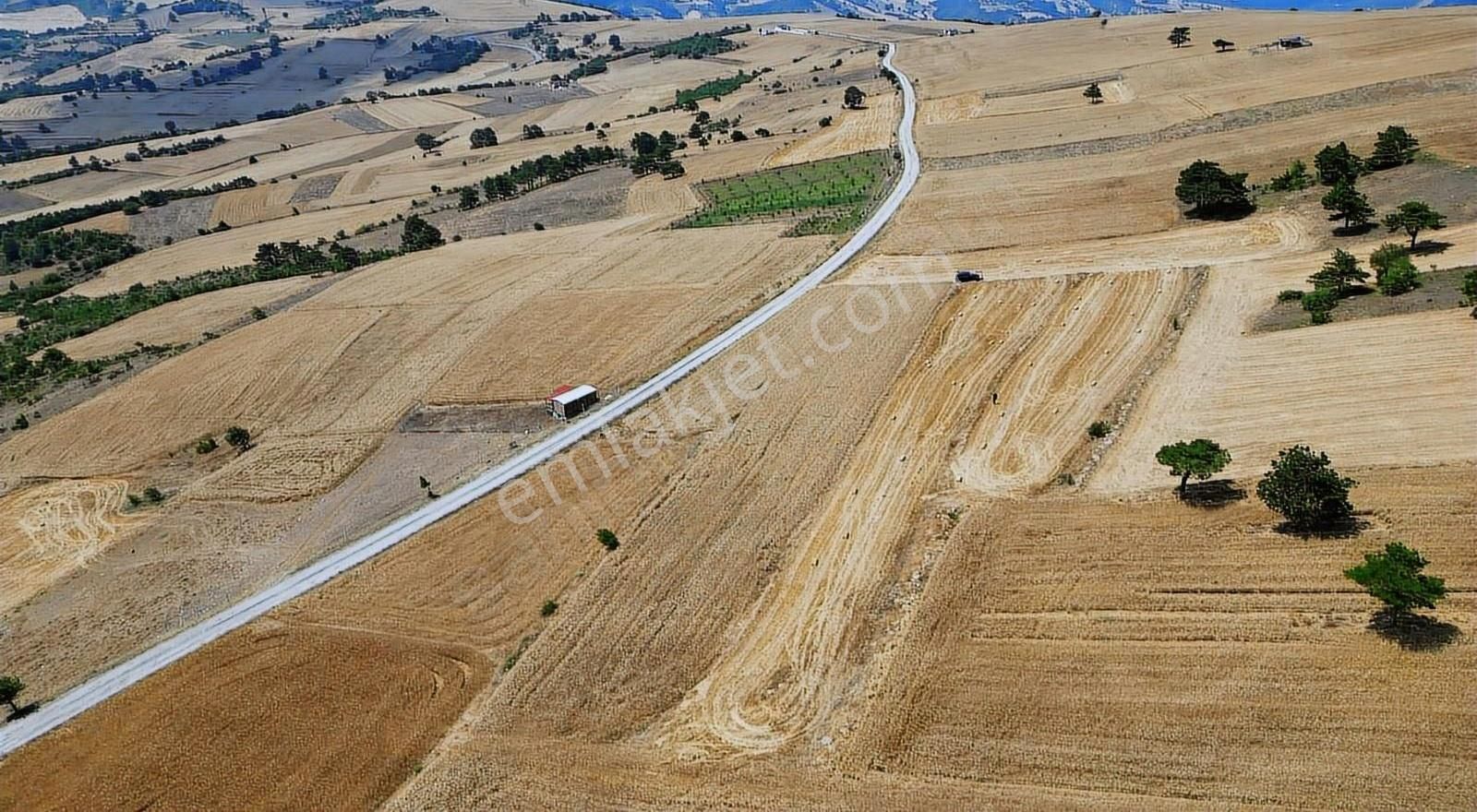 Sakarya Geyve De Asfaltyola Yakın Doğa Harikası Arazi - Görsel 15