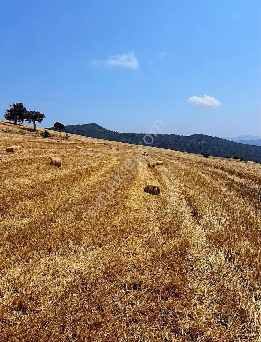 Sakarya Geyve De Asfaltyola Yakın Doğa Harikası Arazi - Görsel 13