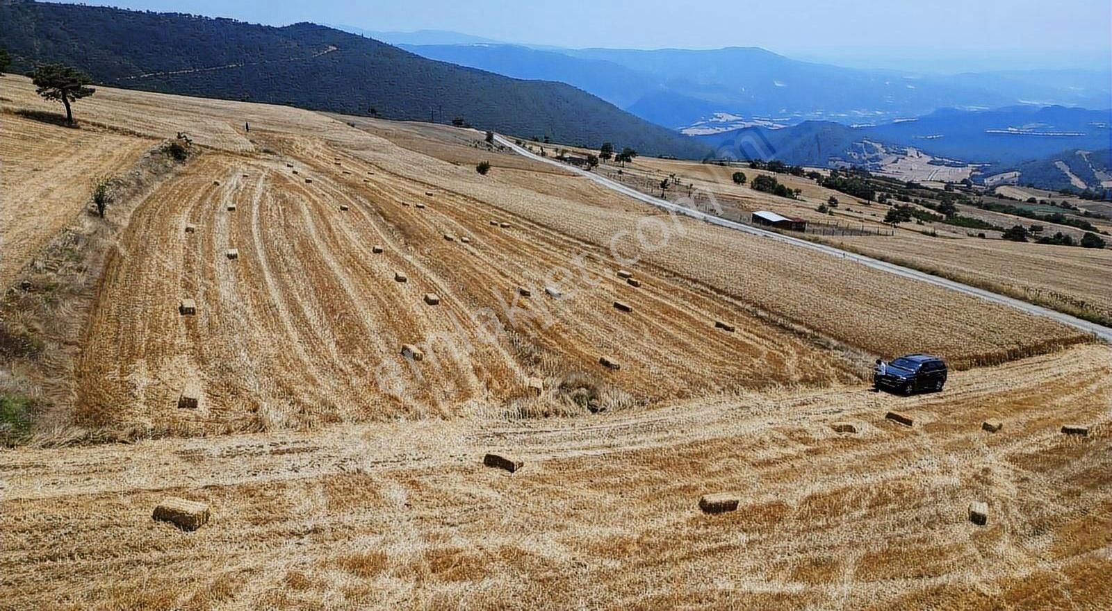 Sakarya Geyve De Asfaltyola Yakın Doğa Harikası Arazi - Görsel 3