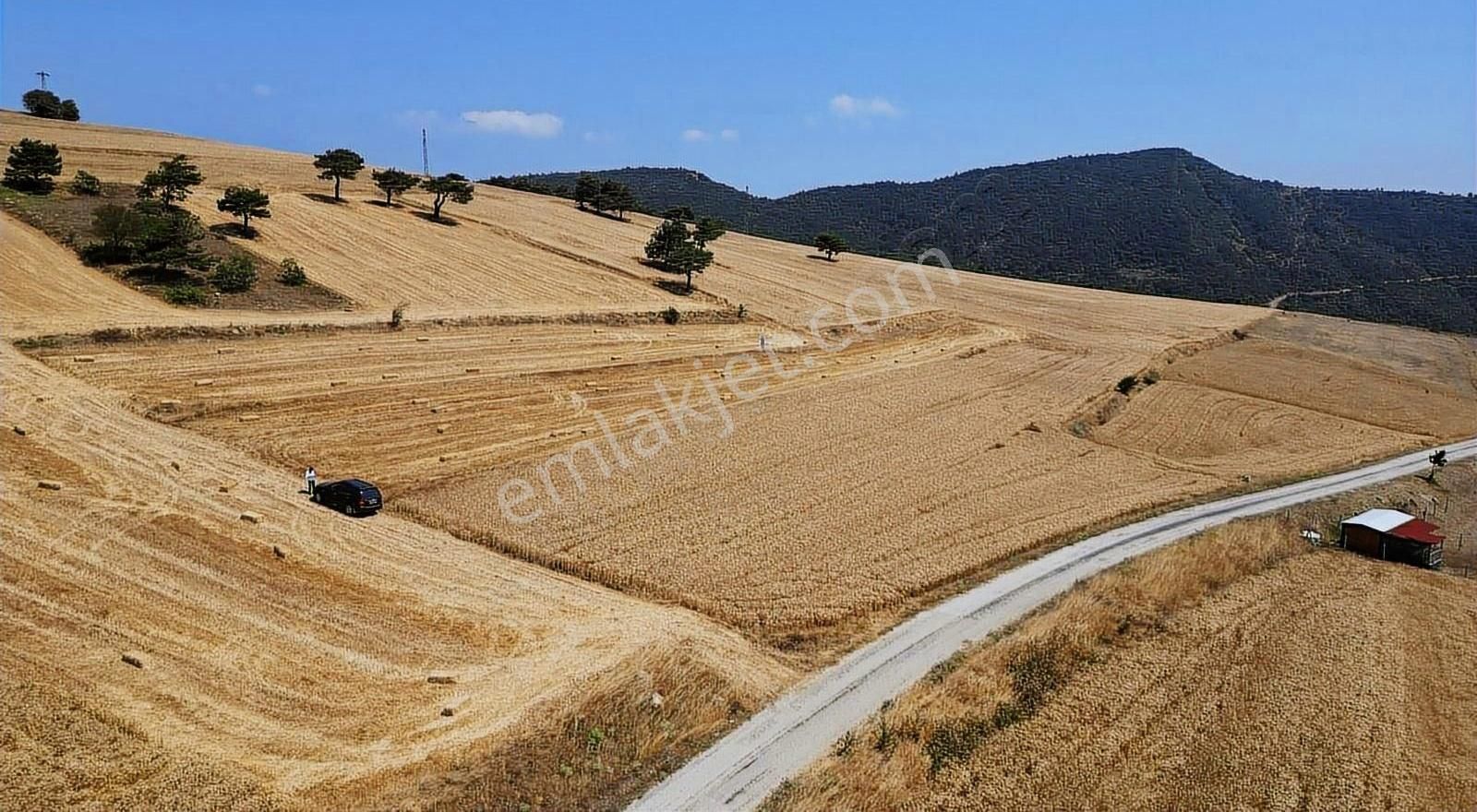Sakarya Geyve De Asfaltyola Yakın Doğa Harikası Arazi - Görsel 9
