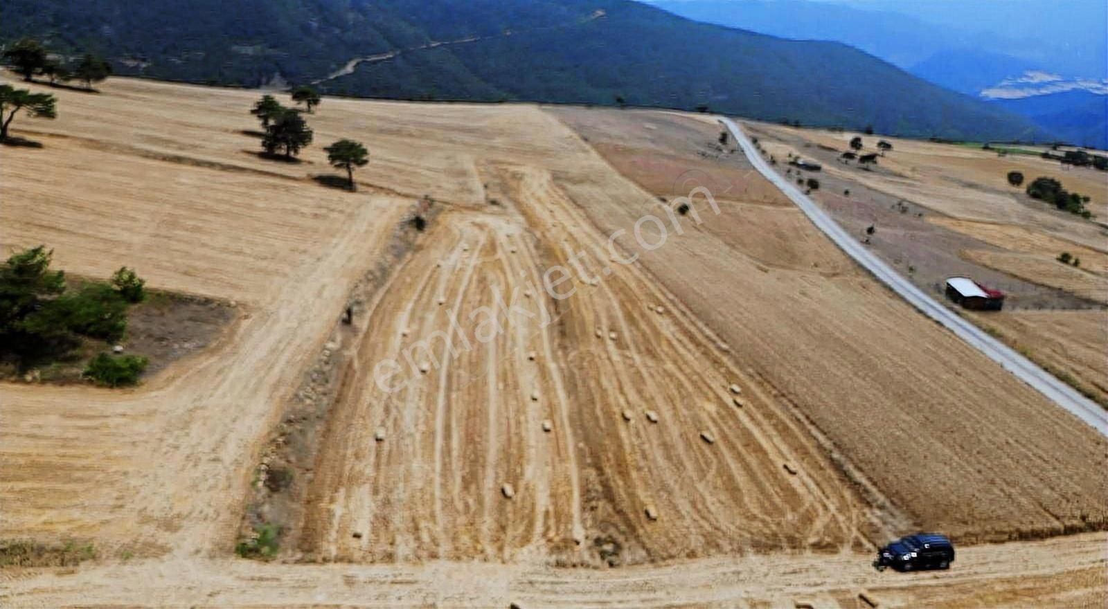 Sakarya Geyve De Asfaltyola Yakın Doğa Harikası Arazi