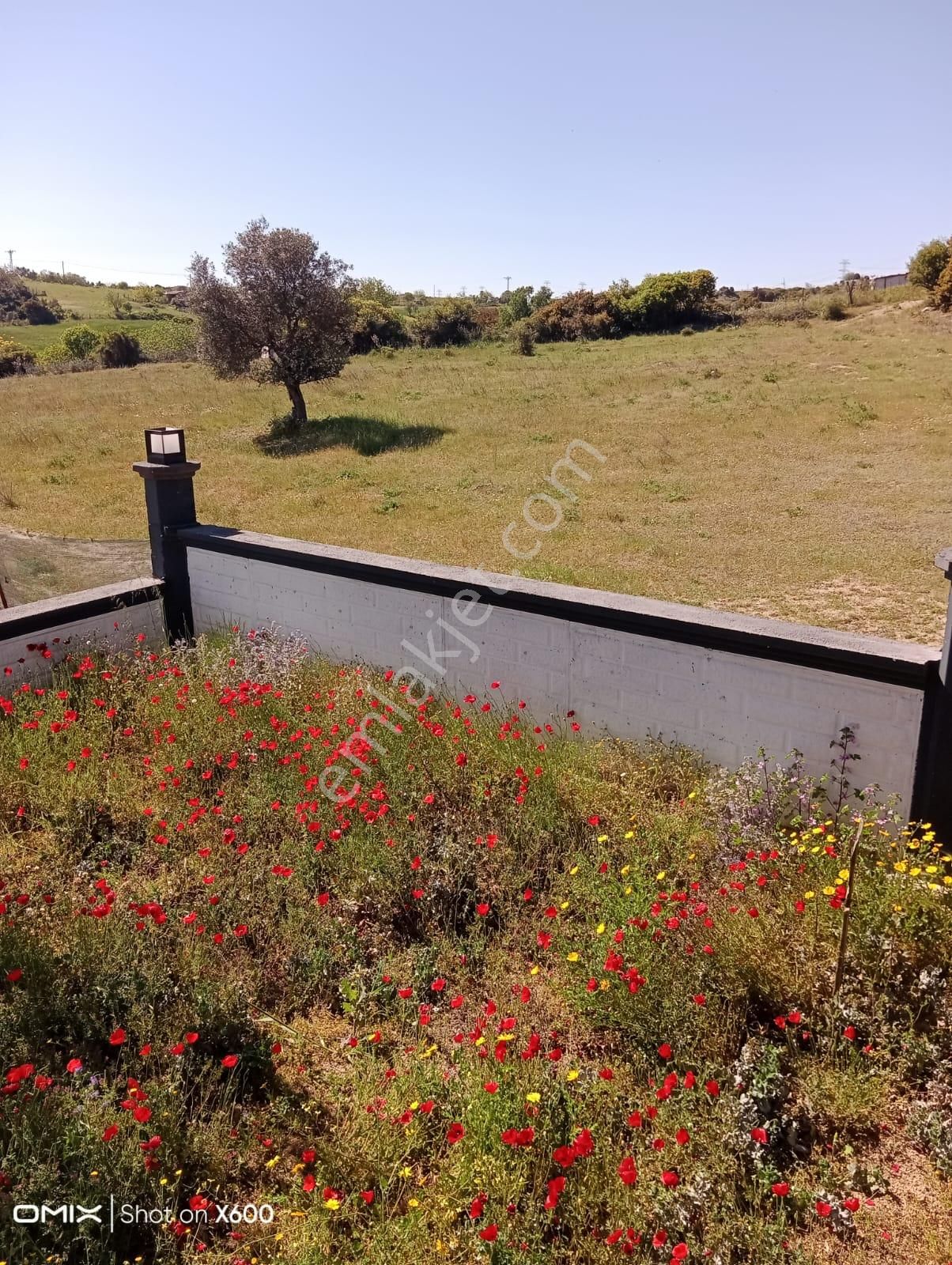 Çanakkale Biga Karabiga Zeytinlik Mahallesi’nde Lüks Deniz Manzaralı Villa Satışı! - Görsel 14