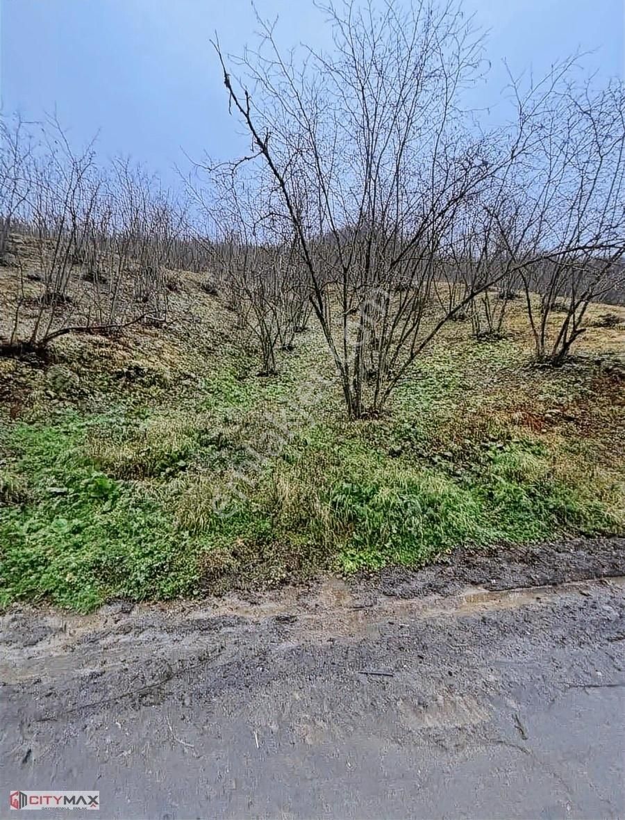 Cıtymaxtan Satılık Arazi Kestanepınar Köyünde