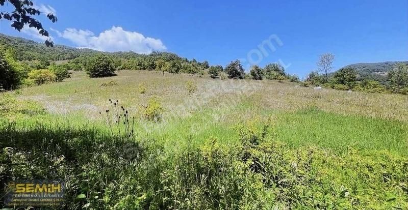 Semih'den Paşayaylada Köye 500 Metre Çok Çok Uygun Yatırımlık - Görsel 2